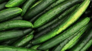 A close-up image of fresh green cucumbers stacked together, showcasing their smooth, dark green skins with small bumps and ridges