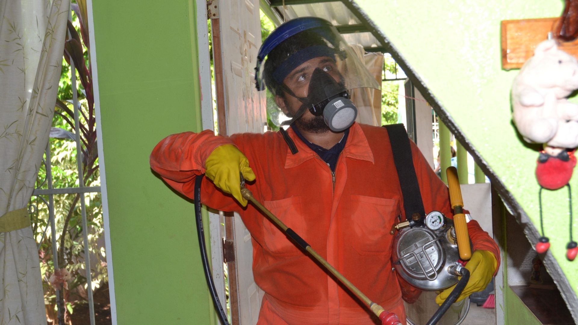 Image is not available