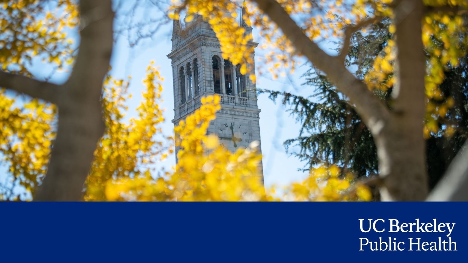 Image is not available