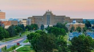 High-Concentration Delta-9-Tetrahydrocannabinol Cannabis Products and Mental Health Outcomes: A Systematic Review