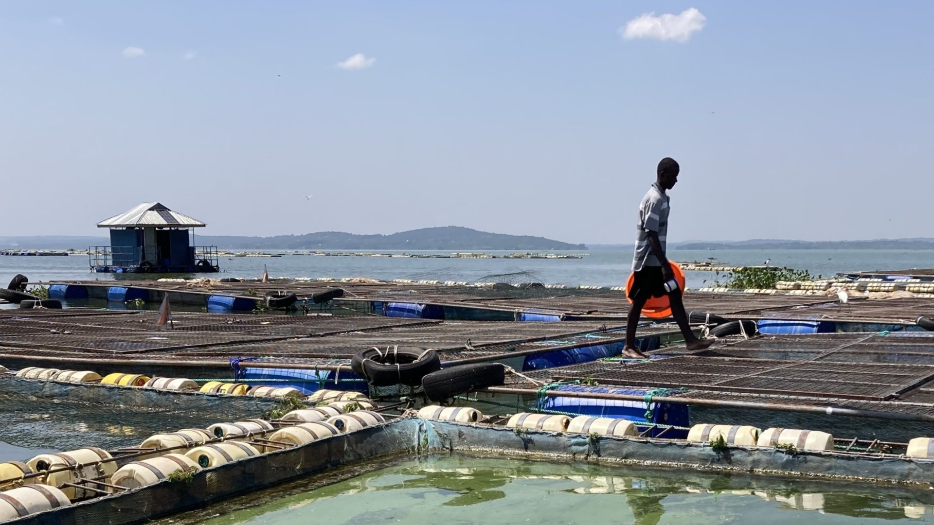 Image is not available