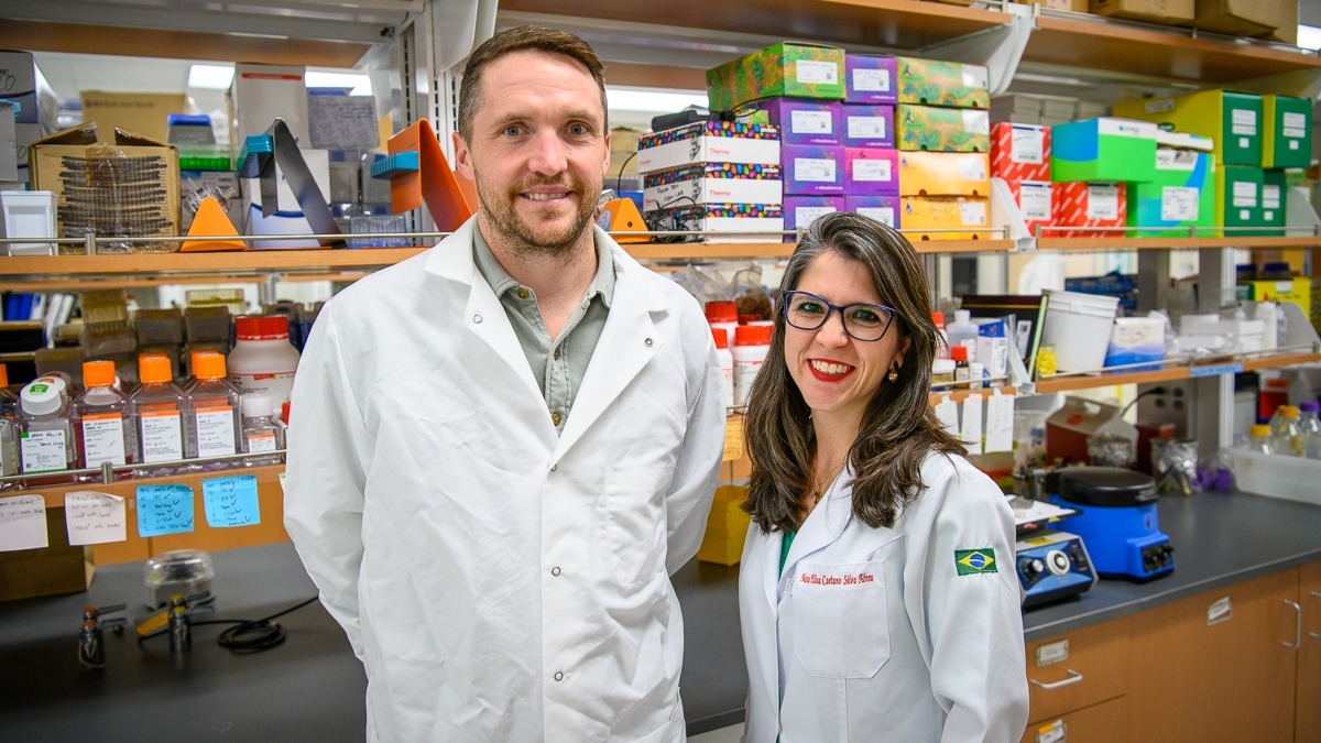 Image is not available