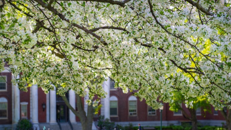 Image is not available