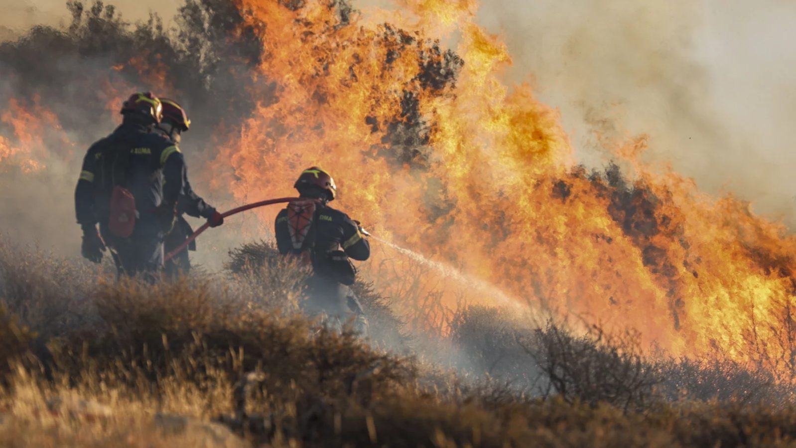 Image is not available