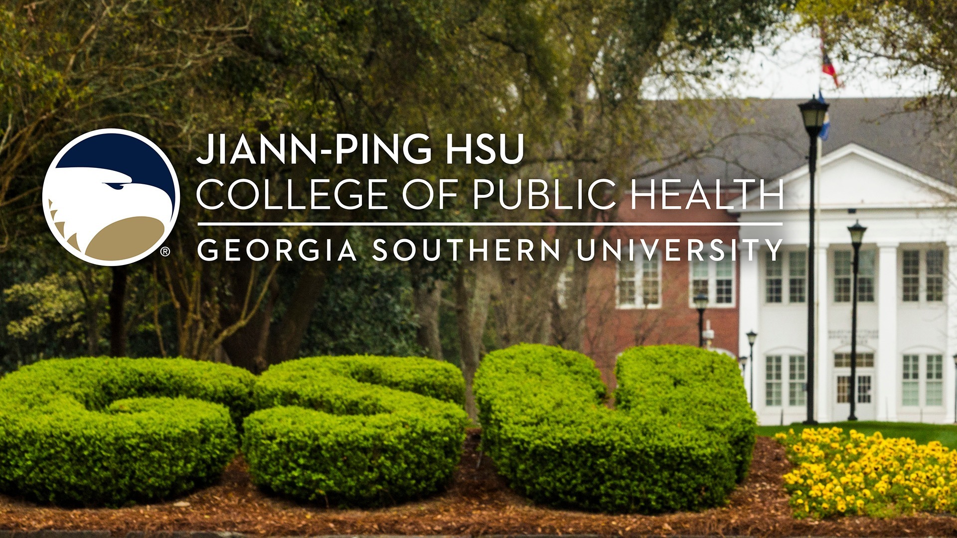 Image is not available